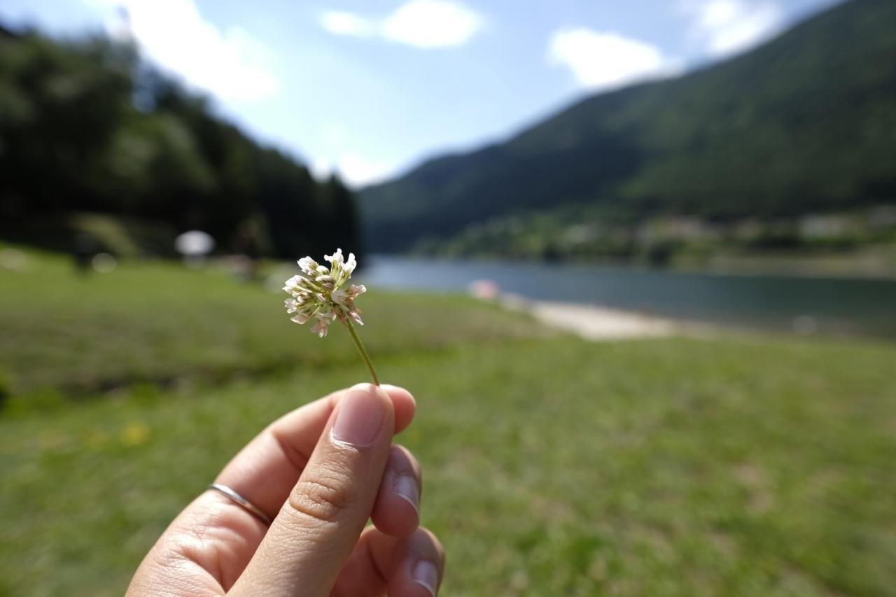 B&B Relais Dolomiti Bedollo エクステリア 写真