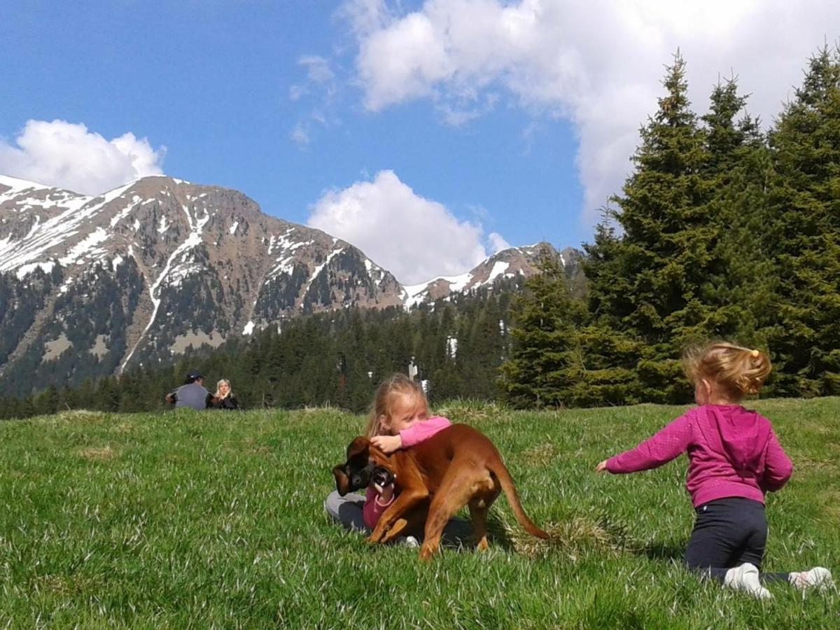 B&B Relais Dolomiti Bedollo エクステリア 写真